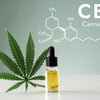 L'action du CBD sur la maladie de Parkinson: ce que nous savons - HoRuS