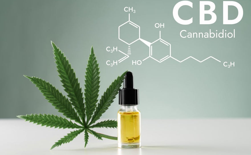 L'action du CBD sur la maladie de Parkinson: ce que nous savons - HoRuS