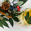Thés & Infusions