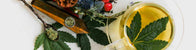 Thés & Infusions