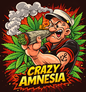 Crazy Amnesia