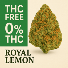 Royal Lemon 0% THC