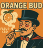 Orange Bud