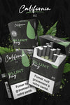 Cigarette California BZ - Blunt King