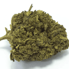 Calyope - HoRuS - Boulogne sur Gesse - Midi Pyérénées - Isle en Dodon - Saint Gaudens