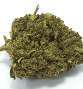 Calyope - HoRuS - Boulogne sur Gesse - Midi Pyérénées - Isle en Dodon - Saint Gaudens