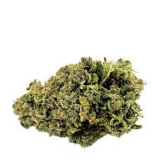 Candy Cream Big Bud - HoRuS - Boulogne sur Gesse - Midi Pyérénées - Isle en Dodon - Saint Gaudens