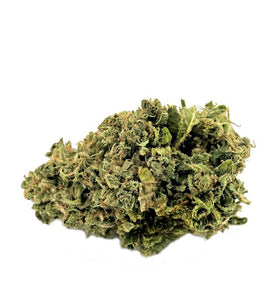 Candy Cream Big Bud - HoRuS - Boulogne sur Gesse - Midi Pyérénées - Isle en Dodon - Saint Gaudens