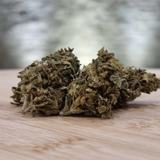 Lemon Haze - HoRuS - Boulogne sur Gesse - Midi Pyérénées - Isle en Dodon - Saint Gaudens