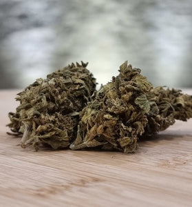 Lemon Haze - HoRuS - Boulogne sur Gesse - Midi Pyérénées - Isle en Dodon - Saint Gaudens