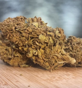 Moby Dick - HoRuS - Boulogne sur Gesse - Midi Pyérénées - Isle en Dodon - Saint Gaudens