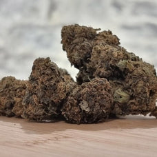 Moutchachoss Black Sugar CBN - HoRuS - Boulogne sur Gesse - Midi Pyérénées - Isle en Dodon - Saint Gaudens