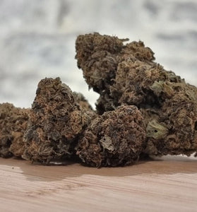 Moutchachoss Black Sugar CBN - HoRuS - Boulogne sur Gesse - Midi Pyérénées - Isle en Dodon - Saint Gaudens