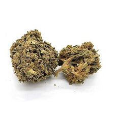 New-York Diesel - HoRuS - Boulogne sur Gesse - Midi Pyérénées - Isle en Dodon - Saint Gaudens