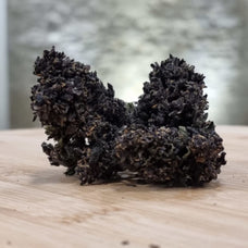 Purple - HoRuS - Boulogne sur Gesse - Midi Pyérénées - Isle en Dodon - Saint Gaudens