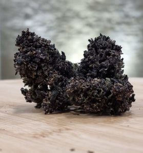 Purple - HoRuS - Boulogne sur Gesse - Midi Pyérénées - Isle en Dodon - Saint Gaudens