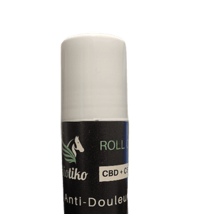 Roll-on antidouleur - HoRuS - Boulogne sur Gesse - Midi Pyérénées - Isle en Dodon - Saint Gaudens