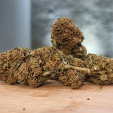 T-Virus - HoRuS - Boulogne sur Gesse - Midi Pyérénées - Isle en Dodon - Saint Gaudens