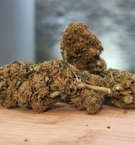 T-Virus - HoRuS - Boulogne sur Gesse - Midi Pyérénées - Isle en Dodon - Saint Gaudens